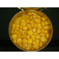 Sweet Corn in Tin with High Quality